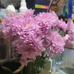 ai-我们总在期盼春天（麦穗鱼 / ai remix）