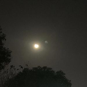网红乱象