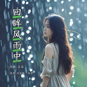 回眸风雨中 (伴奏)