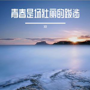 满街的落叶