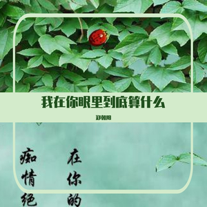 我在你眼里到底算什么