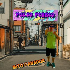 Pulso perreo