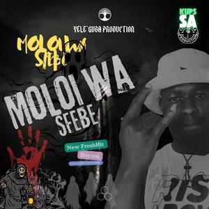 Moloi Wa Sfebe