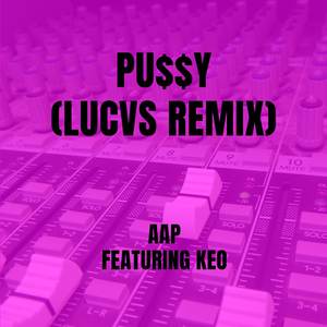 Pu$$y (LUCVS Remix)