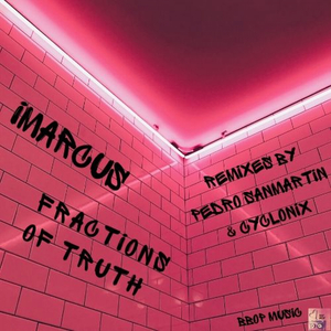 Fractions of Truth (imarcus original)