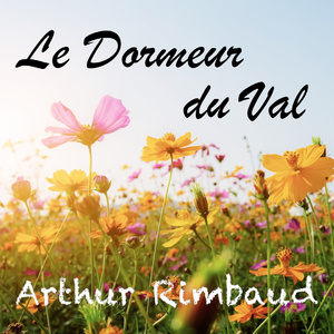 Le Dormeur du Val