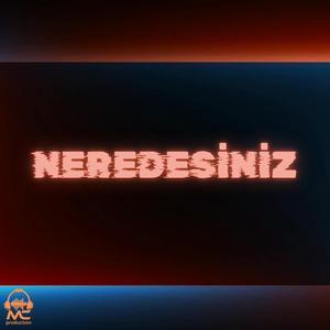 Neredesiniz