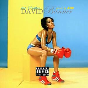 David Banner (feat. S1ephen)