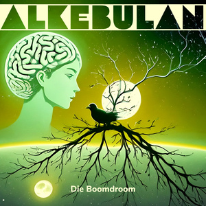 Die Boomdroom (Demo)