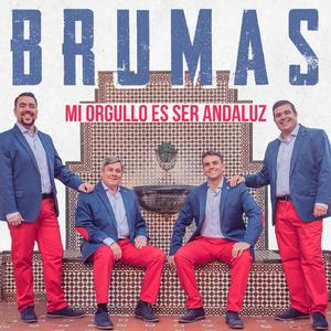 Mi Orgullo Es Ser Andaluz