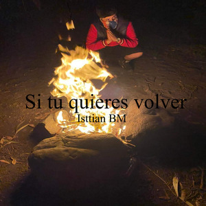 Si Tu Quieres Volver