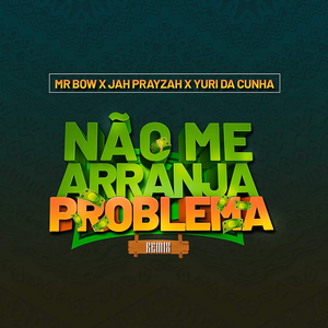 Não Me Arranja Problema (Remix)