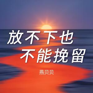 放不下也不能挽留