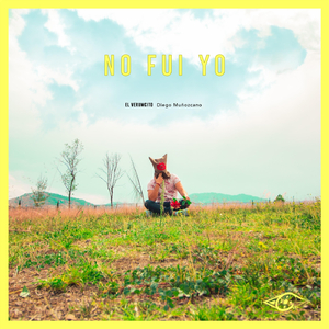 No Fui Yo