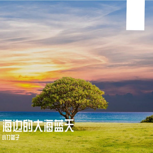 琴声的回音 伴奏