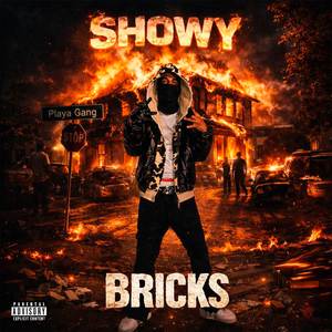 Bricks