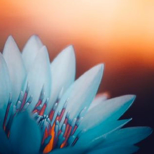 最远的你是我最近的爱