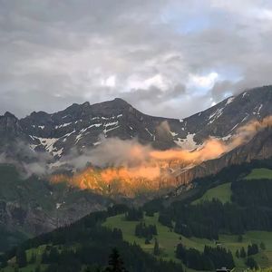 蹇冪伅鐓ф殫澶