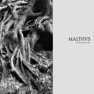 Gestational Recreation