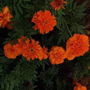 我在学校的二三事（Prod by CDY)）