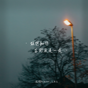 好想和你在街头走一走