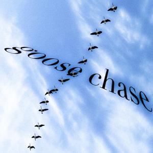 goose chase