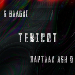 Tericot
