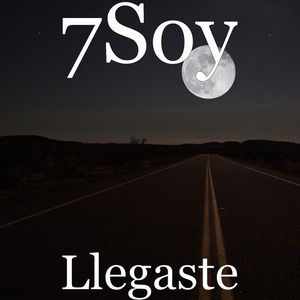 Llegaste