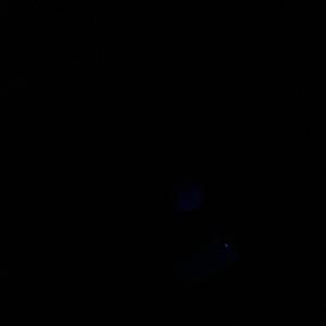 photos dans le noir.｡.:*☆