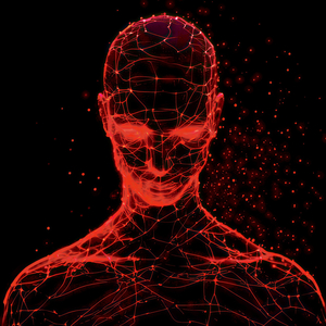 Eternity is a Code We Wrote