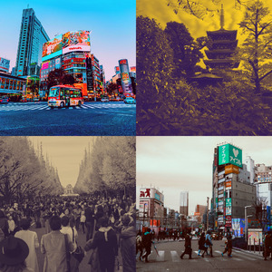 诗意的学习节奏