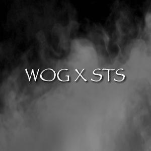 WOG X STS (feat. W.O.G Trey)