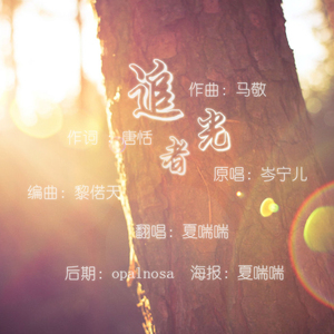 追光者（Cover 岑宁儿）