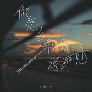 你怎么和我说再见 - 0.9X