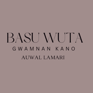 Basu Wuta Gwamnan Kano