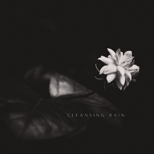Cleansing Rain