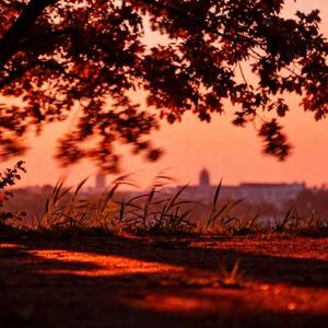 绝口不提你