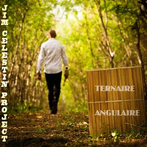 Ternaire Angulaire