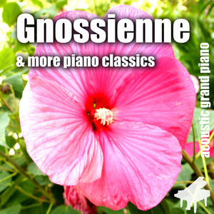 Gnossiene No. 3 [ Satie ]