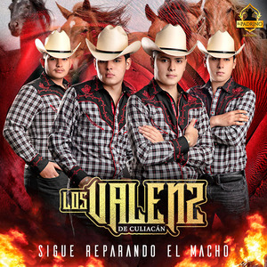 Sigue Reparando El Macho