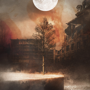 Black Fur (Instrumental)