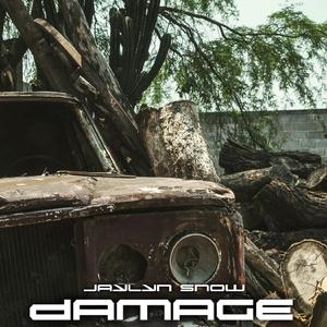 Damage