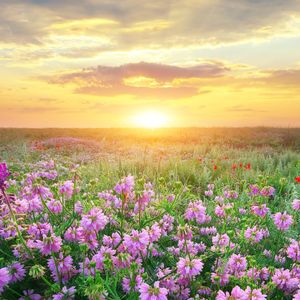 玉兔仙子解瘟疫_不思议光