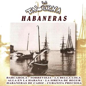 A la Sombra de un Palmar