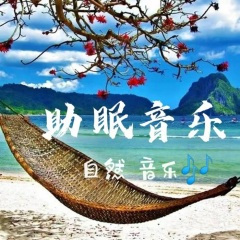 自然音乐 夜昆虫与音乐的交织伴眠