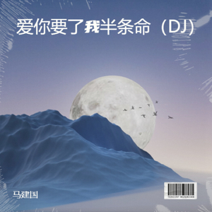 爱你要了我半条命（DJ）