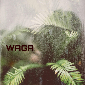 Waga