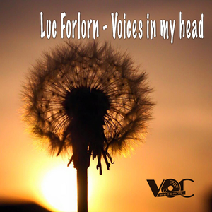 Voices In My Head (Original Mix)
