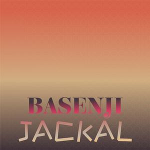 Basenji Jackal