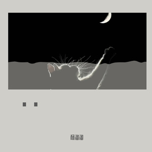 月亮不曾奔我而来